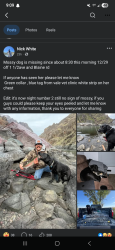 Lost Female Dog last seen Blaine, 1 1/2ave., Payette County, ID 83655