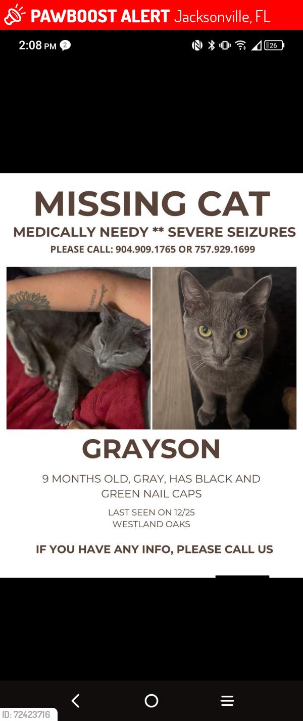 Lost Male Cat last seen Plantation Bay/ Collins, Jacksonville, FL 32244