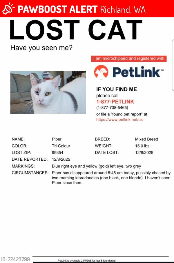 Lost Female Cat last seen Sanford and Roberdeau, Richland, WA 99352