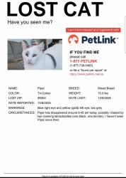 Lost Female Cat last seen Sanford and Roberdeau, Richland, WA 99352