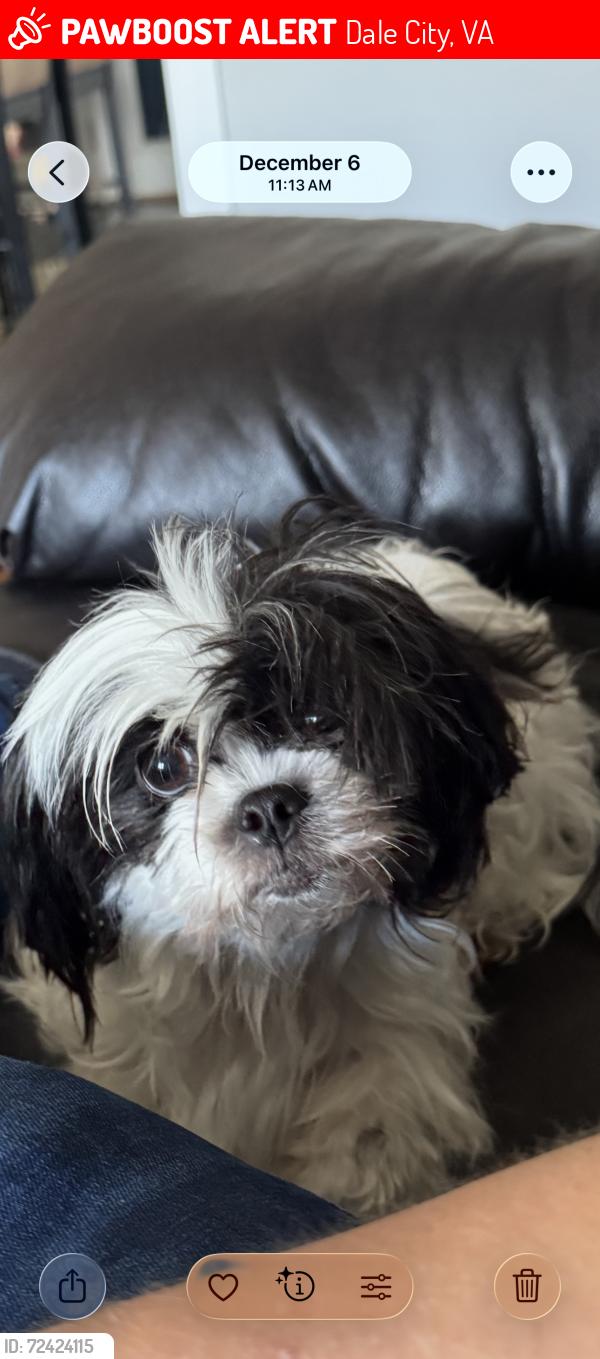 Lost Female Dog last seen Off Prince William on kenmore drive Woodbridge VA, Dale City, VA 22193