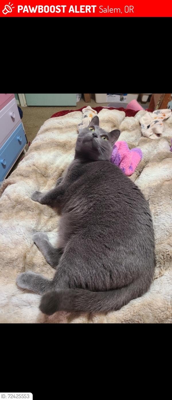 Lost Female Cat last seen Swegle Rd near Cordon., Salem, OR 97305