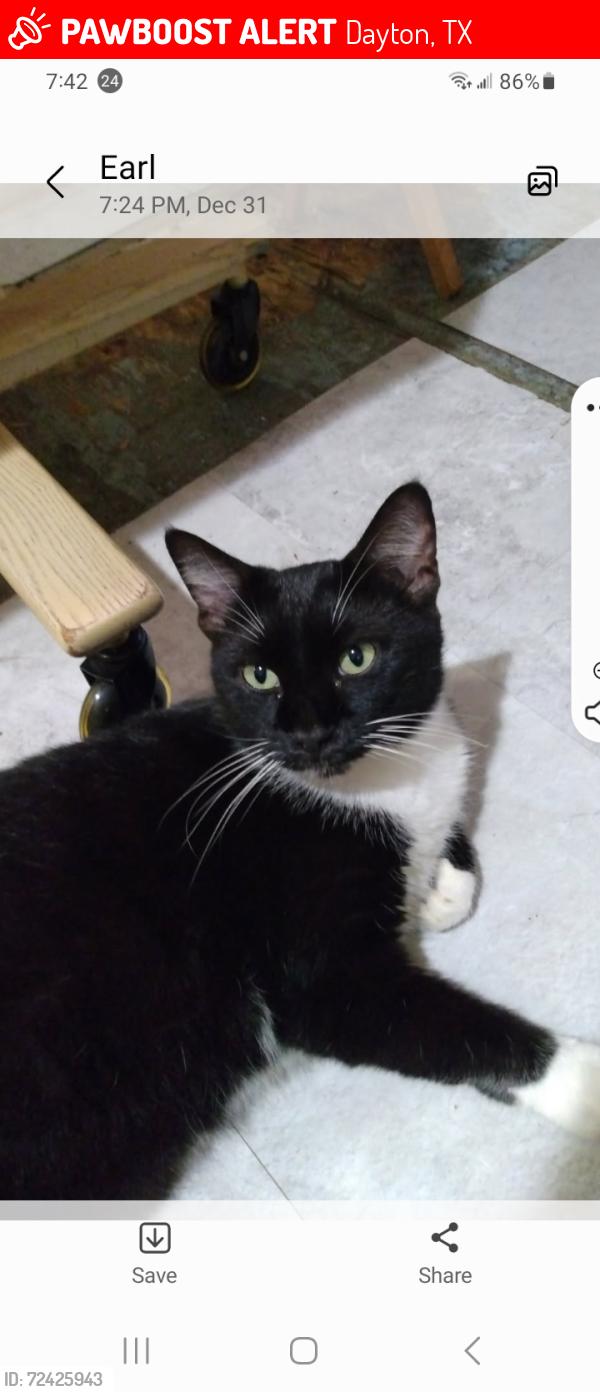 Lost Male Cat last seen Near CR 4020 Indian Ridge , Dayton, TX 77535
