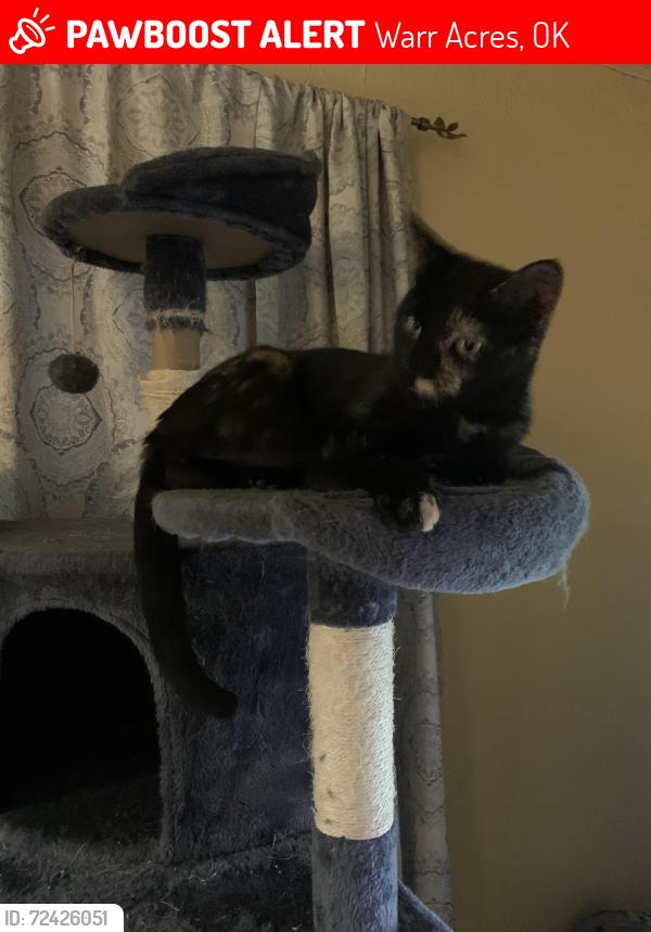 Lost Female Cat last seen NW 42nd, Warr Acres, OK 73122