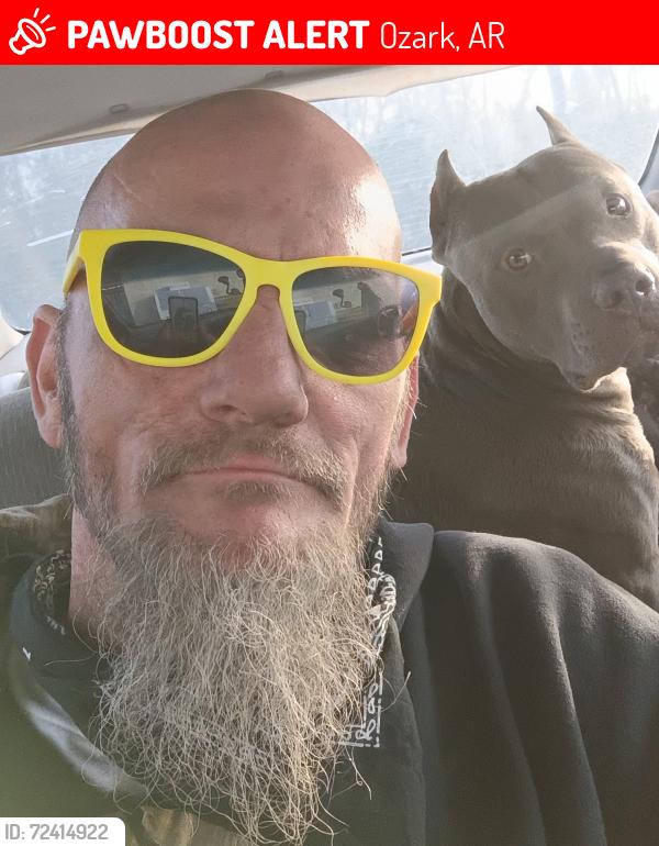 Lost Male Dog last seen Near King Mountain Rd Ozark Arkansas , Ozark, AR 72949