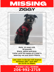 Lost Male Dog last seen S 4th st & s 168th st, Burien, WA 98148