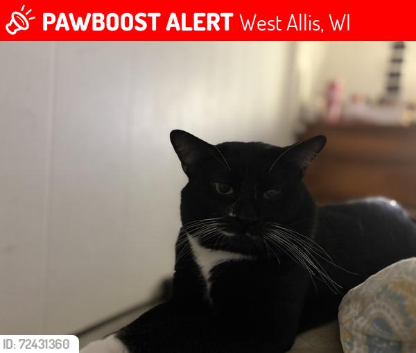 Lost Male Cat last seen Last seen by 59th street, West Allis, WI 53214