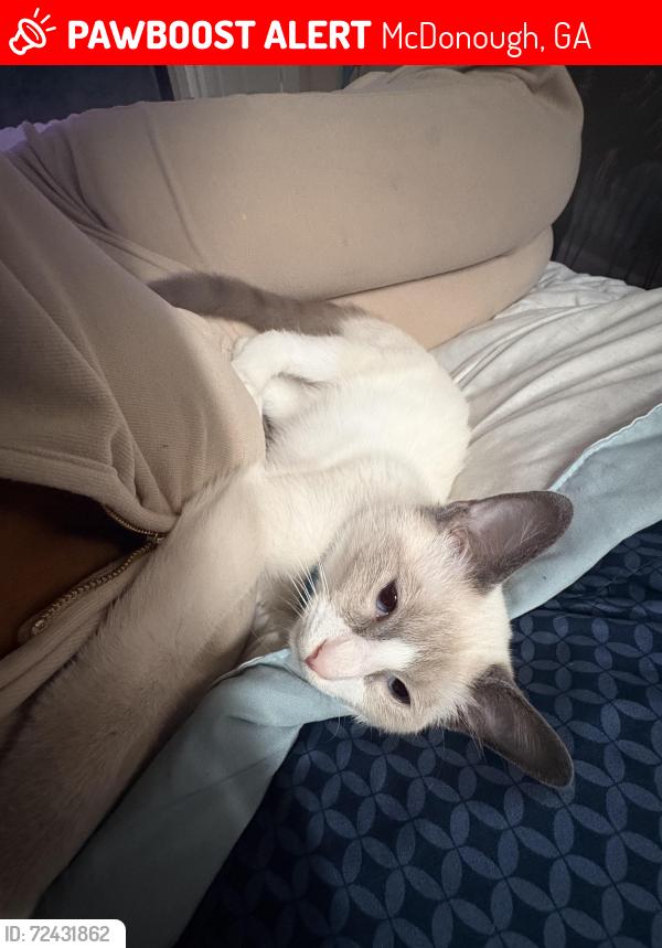 Lost Male Cat last seen Amber Chase Dr, McDonough, GA 30253