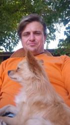 Lost Male Dog last seen Main beach Santa Cruz behind ideal bar, Santa Cruz, CA 95060