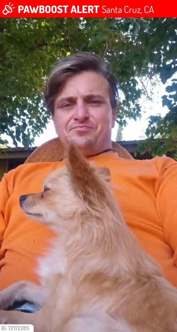 Lost Male Dog last seen Main beach Santa Cruz behind ideal bar, Santa Cruz, CA 95060