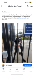 Reunited Unknown Dog last seen Near e Hampton Avenue, Mesa az 85209, Mesa, AZ 85209