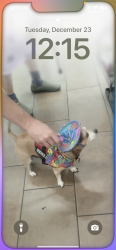 Lost Male Dog last seen Goodwill parking lot , Yukon, OK 73099