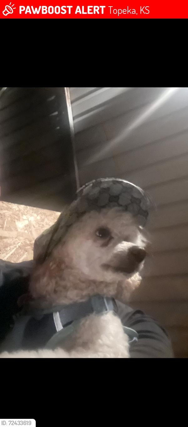Lost Male Dog last seen Near se locust st, Topeka, KS 66607