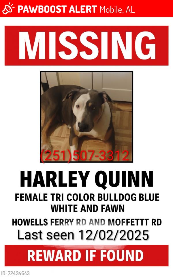 Lost Female Dog last seen Howells ferry rd and moffett rd , Mobile, AL 36618