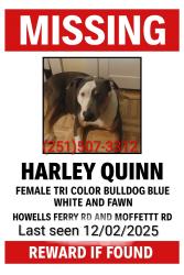 Lost Female Dog last seen Howells ferry rd and moffett rd , Mobile, AL 36618