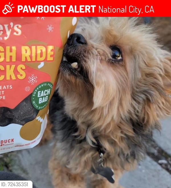 Lost Male Dog last seen E 2nd St and D Ave in National City, National City, CA 91950