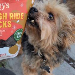 Lost Male Dog last seen E 2nd St and D Ave in National City, National City, CA 91950