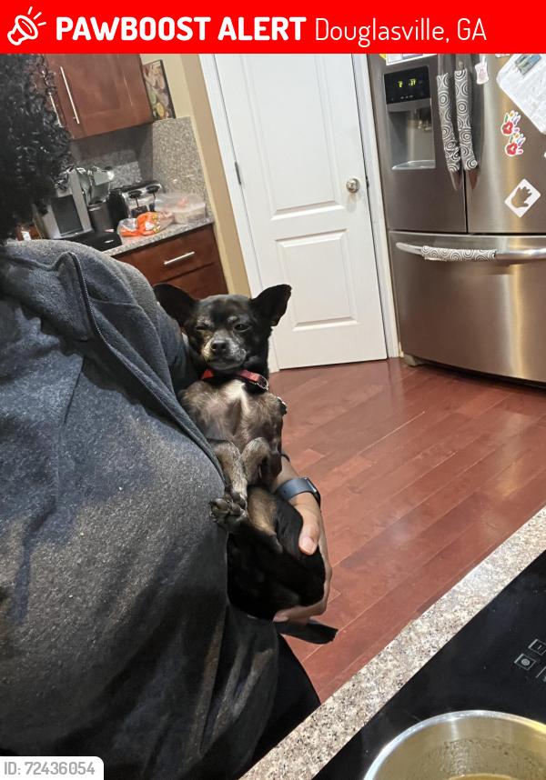 Lost Male Dog last seen Ashworth neighborhood Simon road, Douglasville, GA 30135