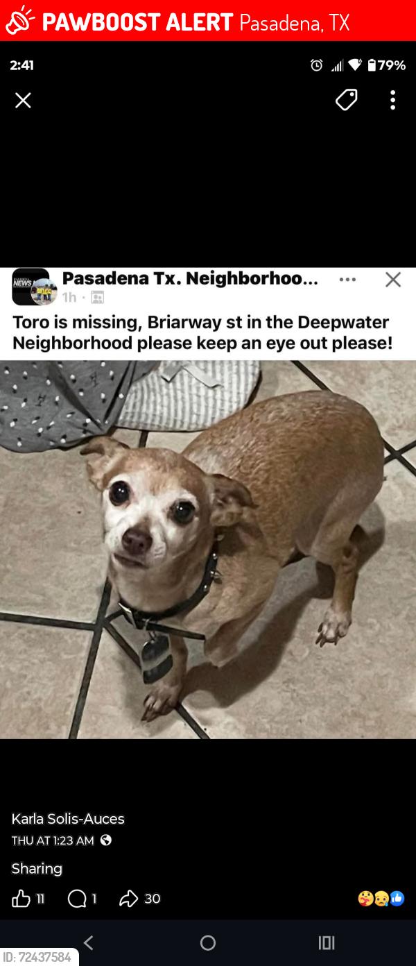 Lost Male Dog last seen Briarway, Pasadena, TX 77503