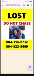 Lost Female Dog last seen Elkhart and Ruthers, Richmond, VA 23235