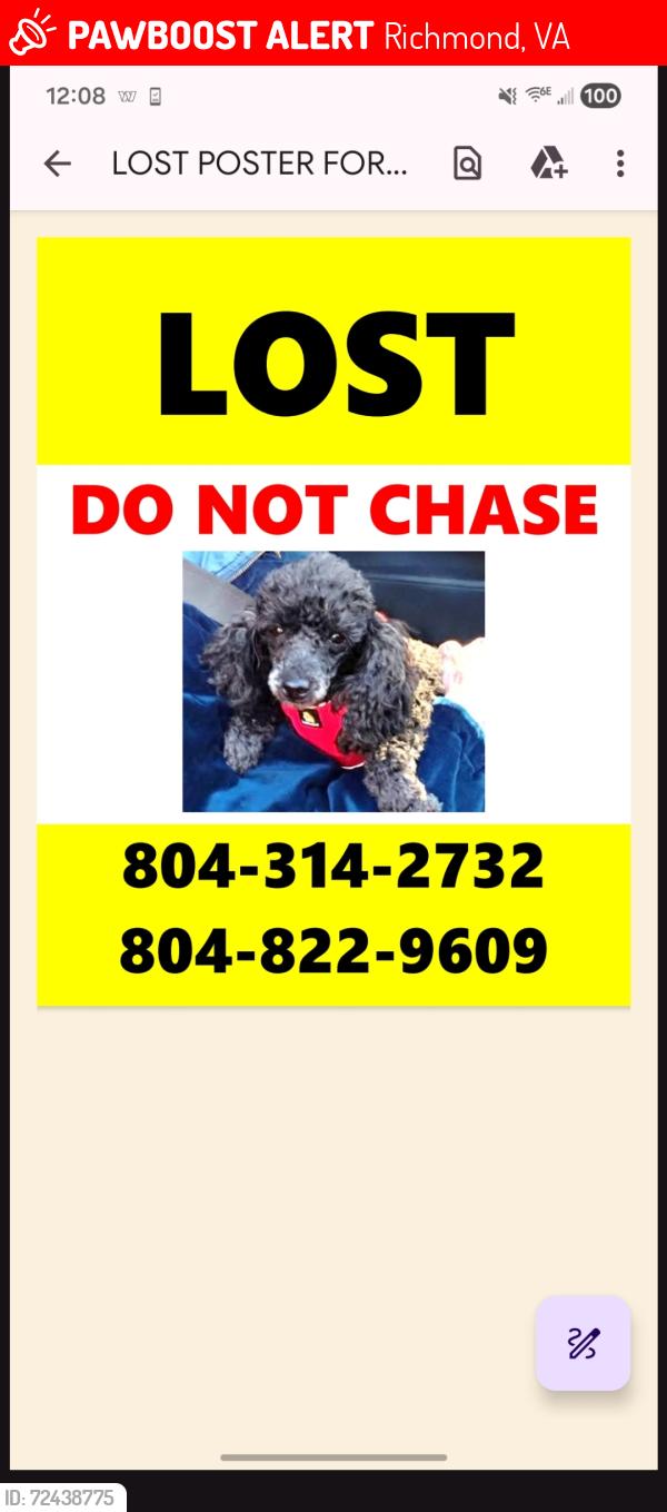 Lost Female Dog last seen Elkhart and Ruthers, Richmond, VA 23235