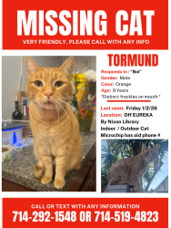 Lost Male Cat last seen Nixon Library, Yorba Linda, CA 92886