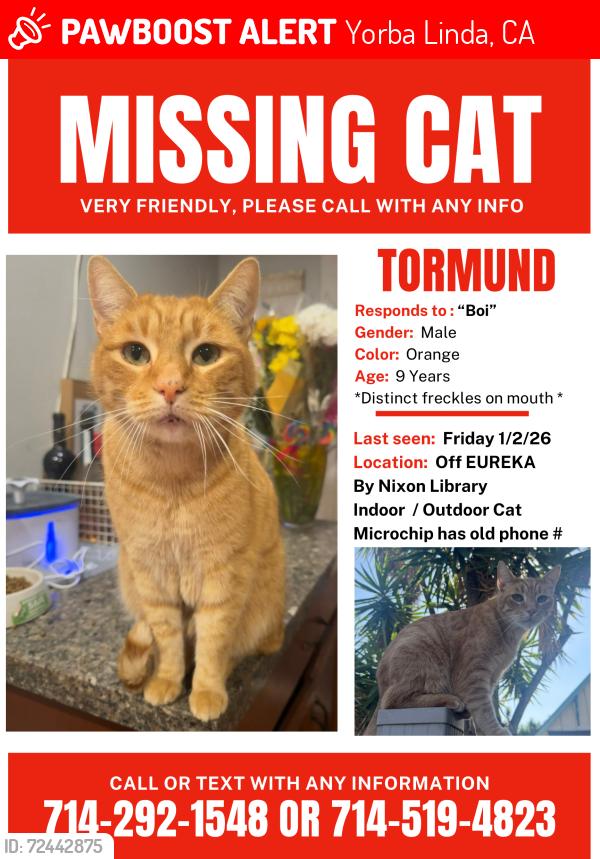 Lost Male Cat last seen Nixon Library, Yorba Linda, CA 92886
