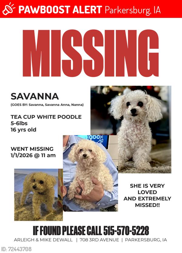 Lost Female Dog last seen Near 3rd Avenue , Parkersburg, IA 50665