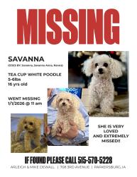 Lost Female Dog last seen Near 3rd Avenue , Parkersburg, IA 50665
