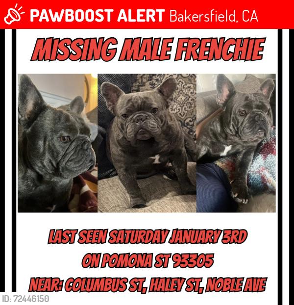 Lost Male Dog last seen Noble Ave & Columbus St , Bakersfield, CA 93305