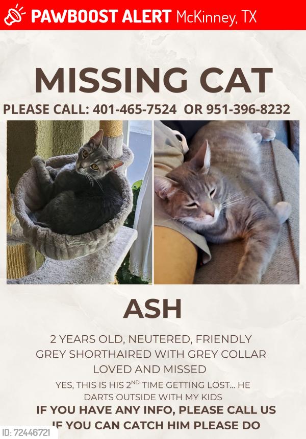 Lost Male Cat last seen Morwenna and Simpson, McKinney, TX 75069