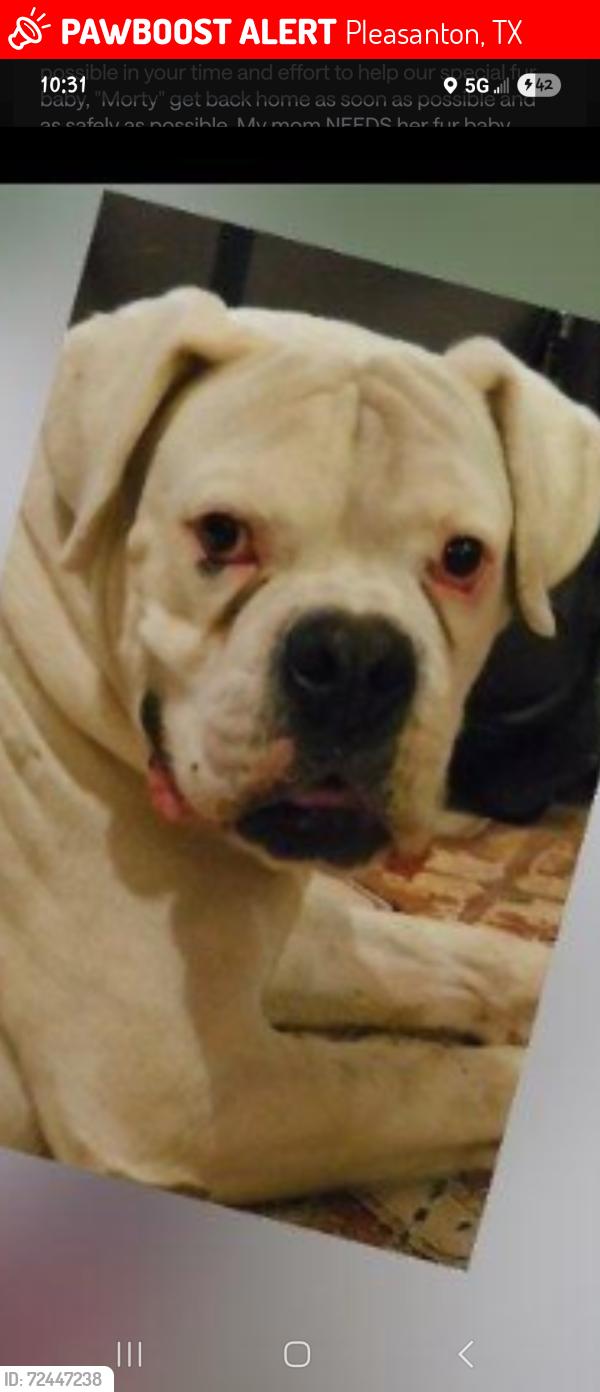 Lost Male Dog last seen SH 97/Hwy 37/Country Trail Subdivision , Pleasanton, TX 78064