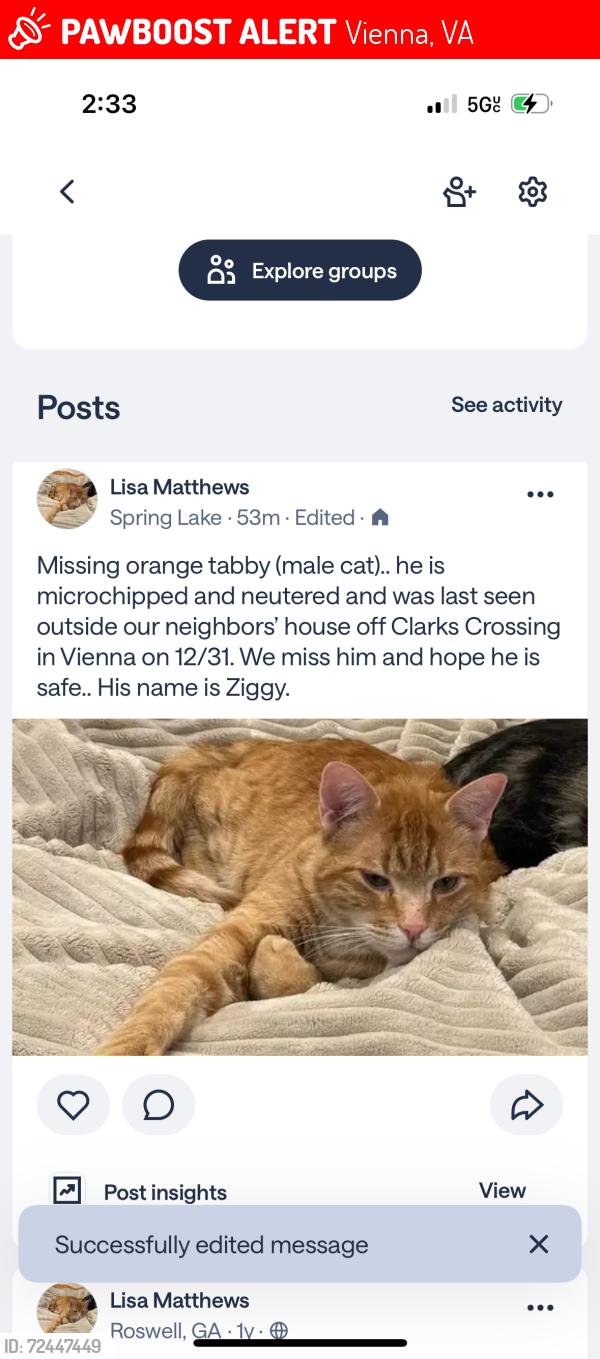 Lost Male Cat last seen Clarks Crossing Rd Vienna VA, Vienna, VA 22182