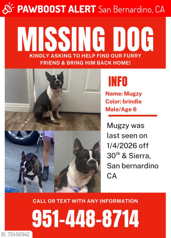 Lost Male Dog last seen 30th and Sierra, San Bernardino, CA 92405