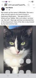 Lost Female Cat last seen 154th and 19thAve Ct E, Spanaway, WA 98387