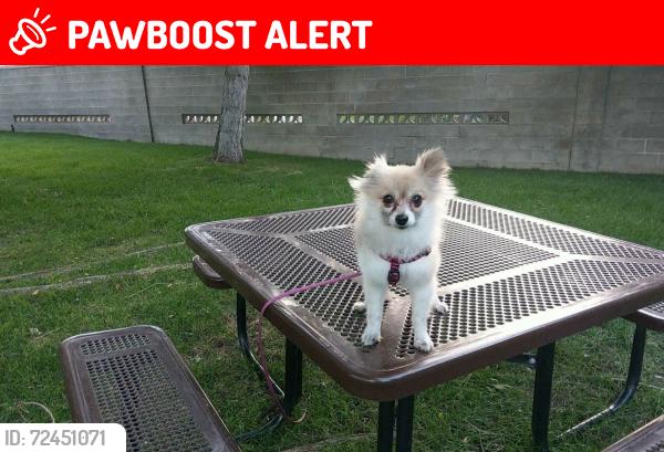Lost Female Dog last seen Fort Union, Cottonwood Heights, UT 84121