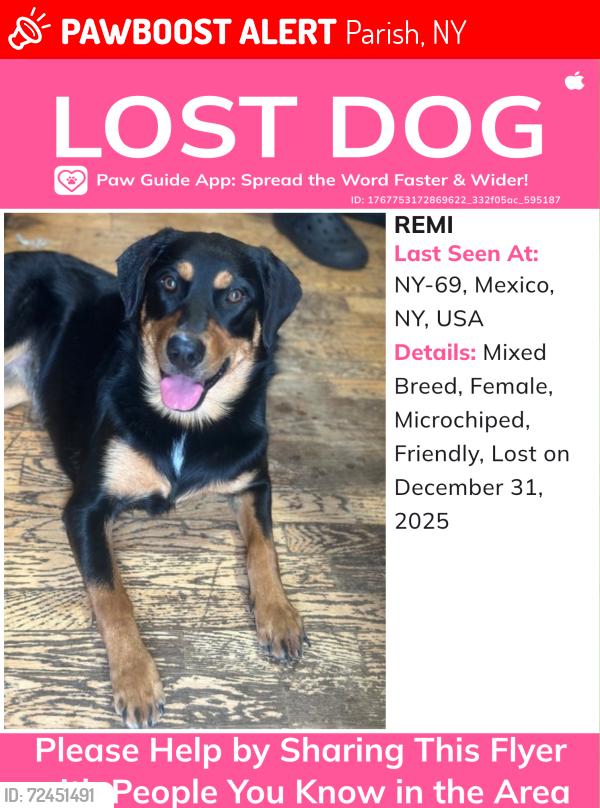 Lost Female Dog last seen Rte 69, Parish, NY 13131