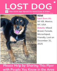 Lost Female Dog last seen Rte 69, Parish, NY 13131