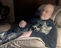 Lost Male Cat last seen Black Gap Road, Fayetteville, PA 17222
