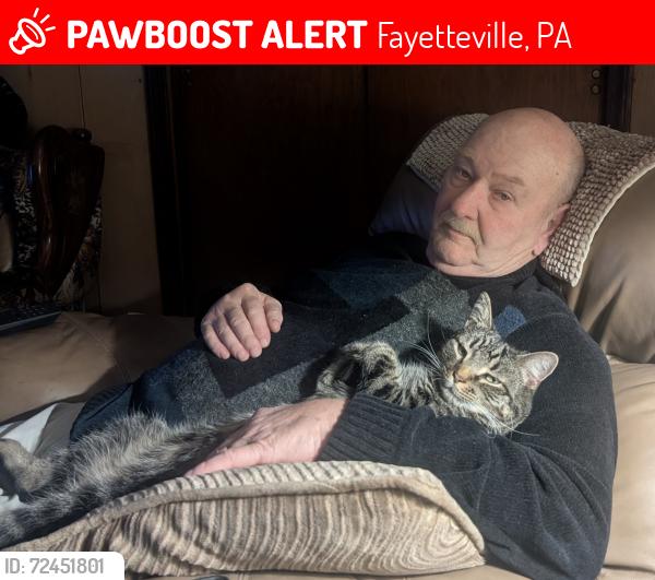 Lost Male Cat last seen Black Gap Road, Fayetteville, PA 17222
