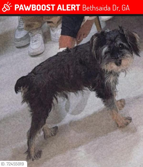 Lost Male Dog last seen Bethsaida rd, Bethsaida Dr, GA 30296