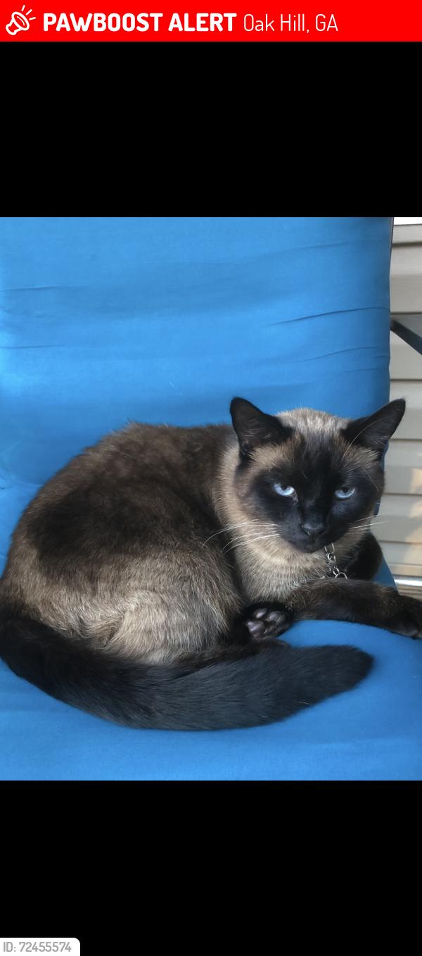 Lost Female Cat last seen Oak Hill Elementary & The Falls at Butler Bridge Rd, Oak Hill, GA 30016