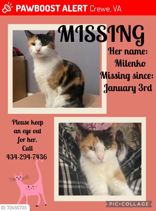 Lost Female Cat last seen E Maryland Ave Crewe VA , Crewe, VA 23930
