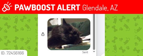Lost Male Cat last seen N. 59th Ave & Nancy Rd Just north of Greenway Rd, Glendale, AZ 85306