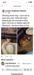Lost Male Dog last seen Newland robinson Texas , Robinson, TX 76706