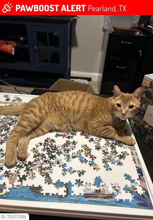Lost Male Cat last seen Woodcreek neighborhood , Pearland, TX 77581