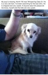 Lost Male Dog last seen FM 116 copperas Cove, Copperas Cove, TX 76522