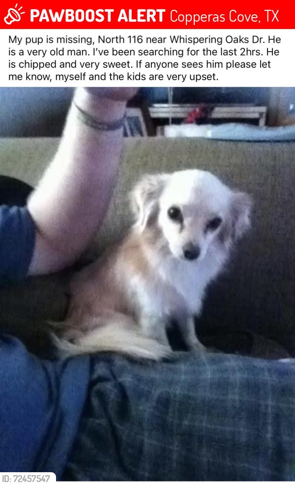 Lost Male Dog last seen FM 116 copperas Cove, Copperas Cove, TX 76522