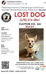 Lost Male Dog last seen Tupelo Trail, Clayton County, GA 30236