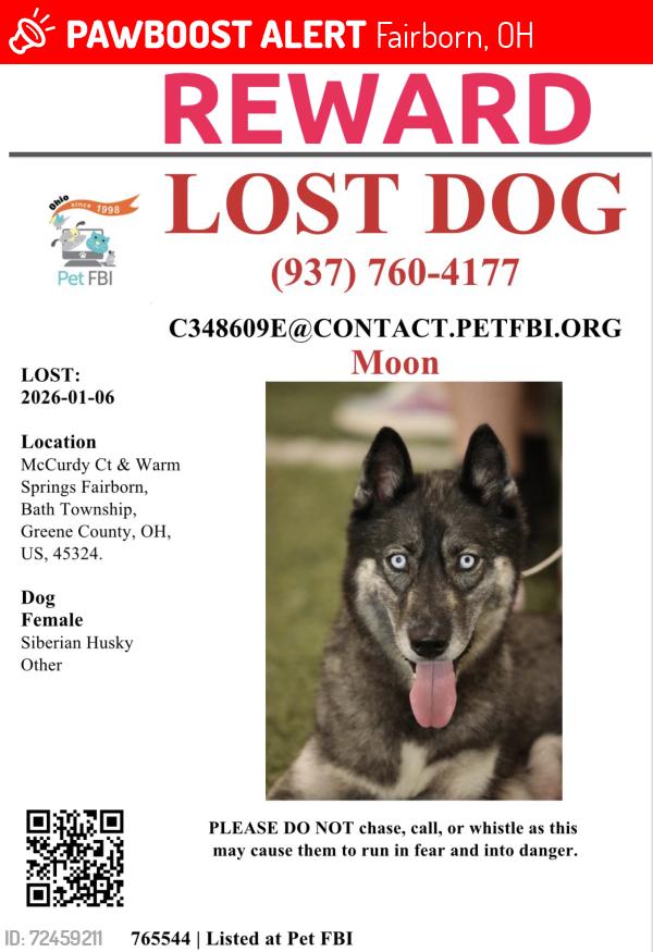 Lost Female Dog last seen Warmsprings & McCurdy Ct, Fairborn, OH 45324